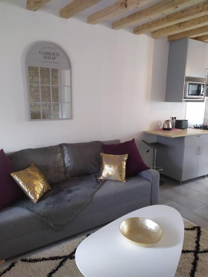 Villa Casa Louka Saint-Aignan  Esterno foto